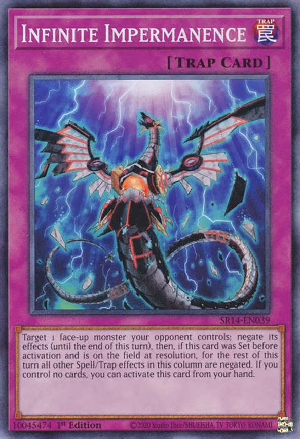 Infinite Impermanence